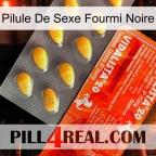 Black Ant Sex Pill new01